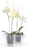 Tartórúd COUBI ISTC01, 60 cm, zöld, orchideára